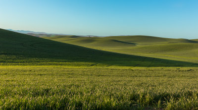 Palouse