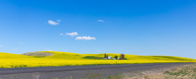 Palouse