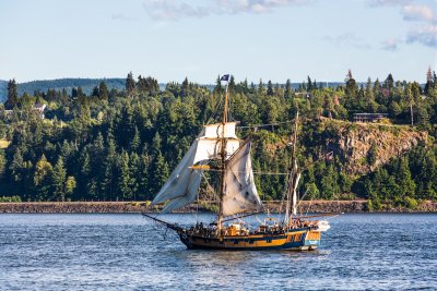 Hawaiian Chieftain