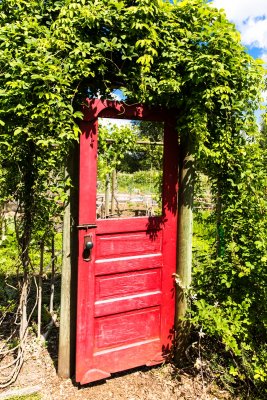 Garden Door