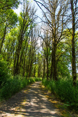 Along The Kiwa Trail