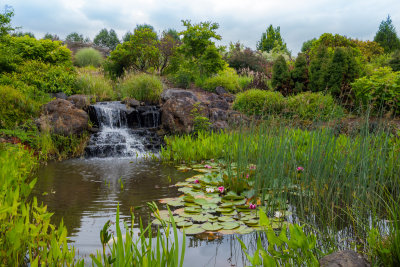 Water Feature