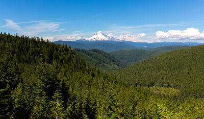 Mt. Hood

View from the south.