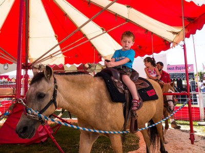 First Pony Ride

He's thinking, this is so cool...
Christmas is coming....