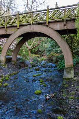 Crystal Springs Bridge