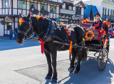 Your Transportation To The Beer Garden