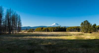 Mt. Adams