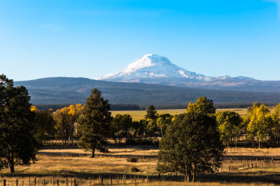 Mt. Adams