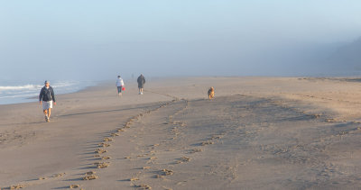 A Run On Nye Beach