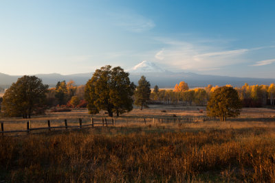 Mt. Adams