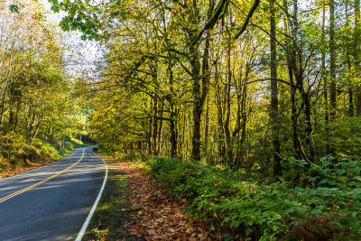 Gordon Creek Road