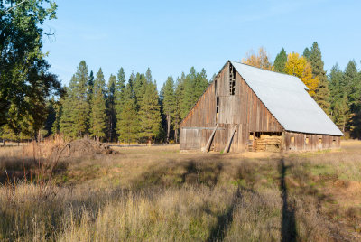 Along The B Z Glenwood Highway