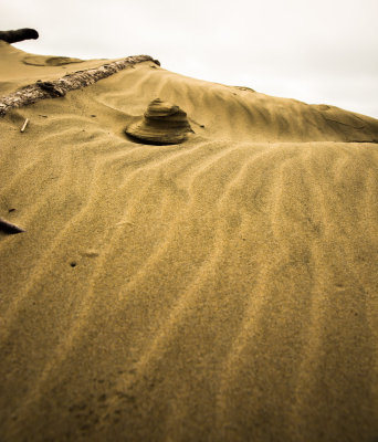 Sculpted By The Wind