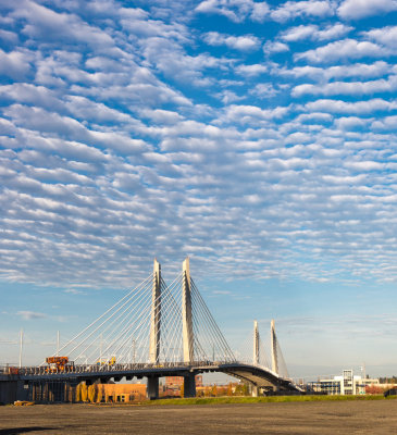 Altocumulus Mackerel Sky

Mackerel sky, mackerel sky
Never long wet and never long dry.