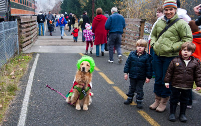 The Golden Grinch