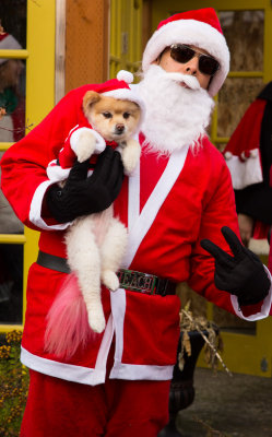Santa And His Dog