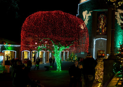 In The Grotto