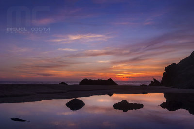 SAM_4649-pan.jpg