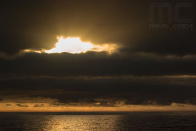 SAM_8331raw.jpg