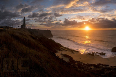 SAM_2919-pan.jpg