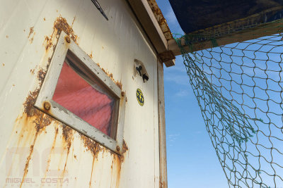 SAM_5411raw.jpg