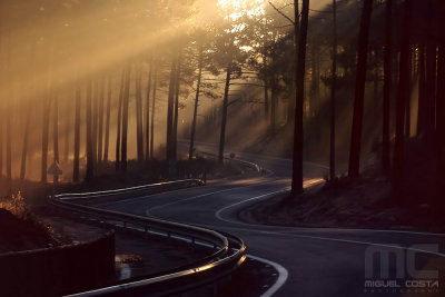 Winding road