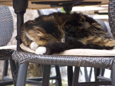 Don't Disturb Please