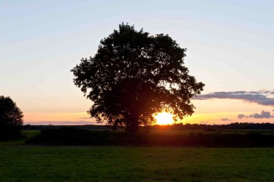 Sunset in Narew River Valley