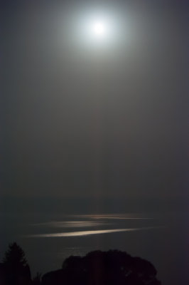 Moonlight 