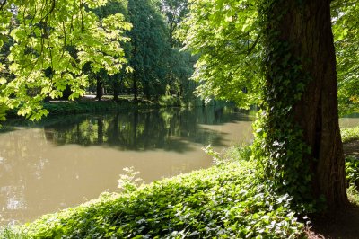 Royal Łazienki Garden