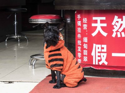 Kunming Elegant