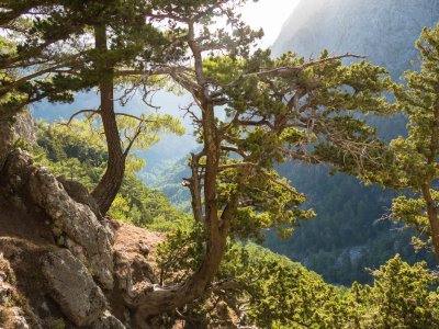 Samaria Gorge Enterance