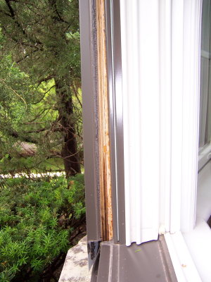 100_1408.JPG