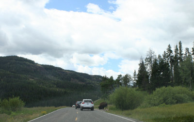 IMG_9647a.jpg