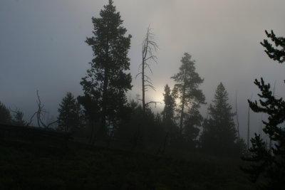 IMG_9716a.jpg