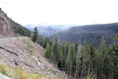 IMG_9939a.jpg