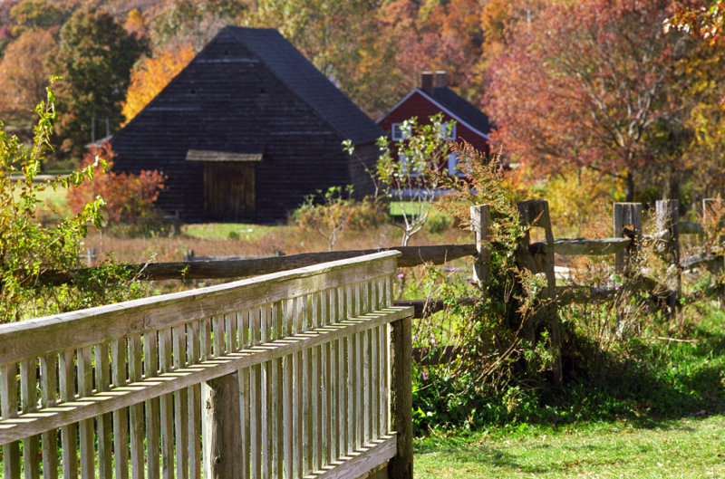 fences and barn