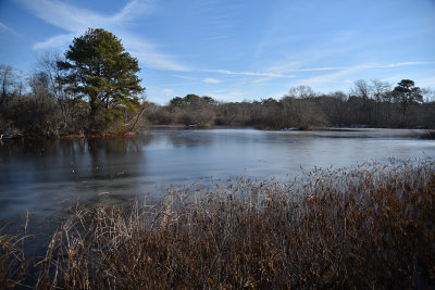 Ice Pond - January thaw