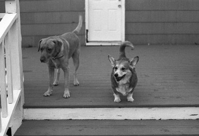 Amber & Tess in 35mm