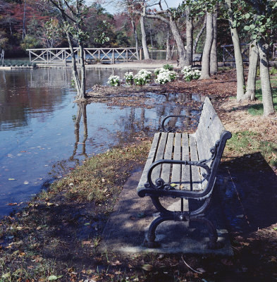 Bench with 75mm Nikkor HC