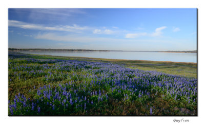 Lake Somerville