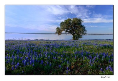 Lake Somerville