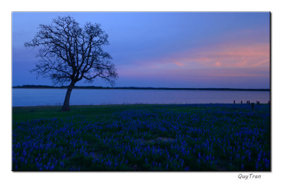 Lake Somerville