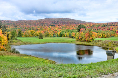 DSCF1194-Edit-2.jpg