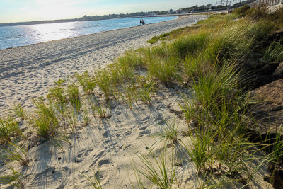DSCF1395.jpg