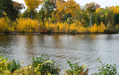 DSCF1488.jpg