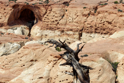 Capitol Reef National Park