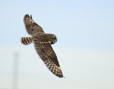 IMG_9073.jpg