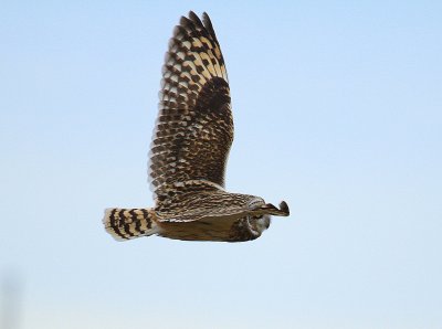 IMG_9074.jpg