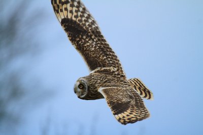 IMG_9100FFF.jpg